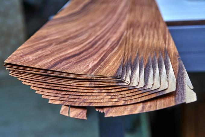 Chapa Santos Palosanto. Textura de madera. Producción de carpintería y carpintería.