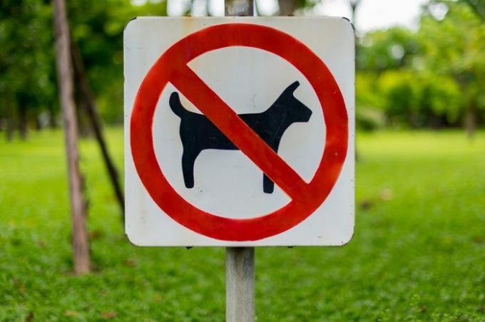Geen huisdieren toegestaan ​​teken in het park.