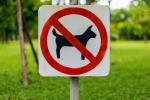 14 ebaviisakat harjumust Koeraomanikud peavad ASAP -i lõpetama