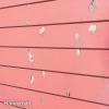 Cure For Peeling Exterior Paint (DIY)