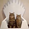Camas para gatos de Game of Thrones que você vai adorar