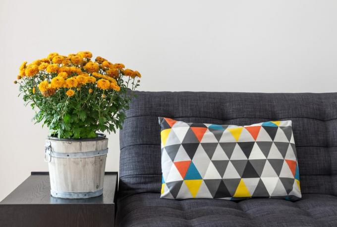 Chrysanthèmes orange et coussin lumineux sur un canapé
