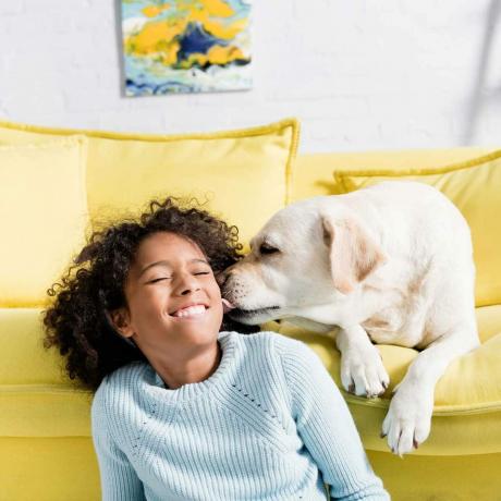 Dog Licking Girl Gettyimages 1285675959