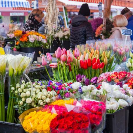 bøndene markedsfører blomster