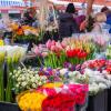 Las mejores flores del mercado de agricultores para su hogar