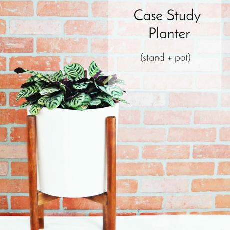 Case-study plantenbak