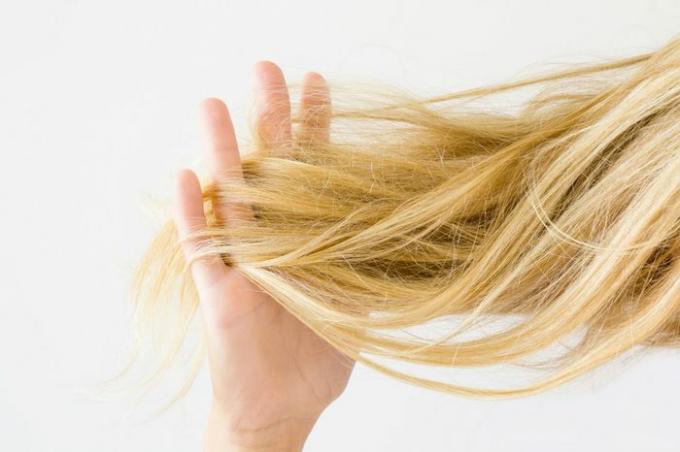 明るい灰色の背景に乾いた金髪のもつれた髪を持っている女性の手。 髪の問題と解決策。 毎日の女性の問題。