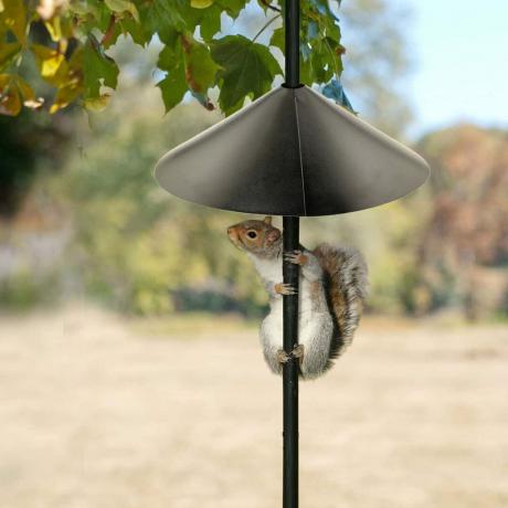 Кормушка для птиц Pole Squirrel Baffle