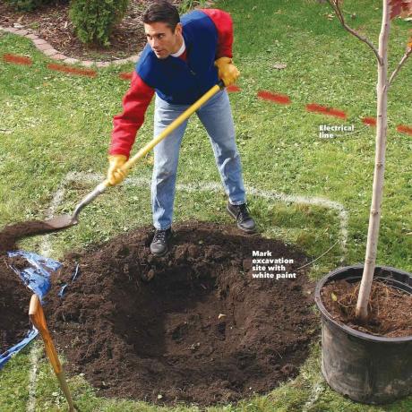 kopanje lukenj za sajenje dreves