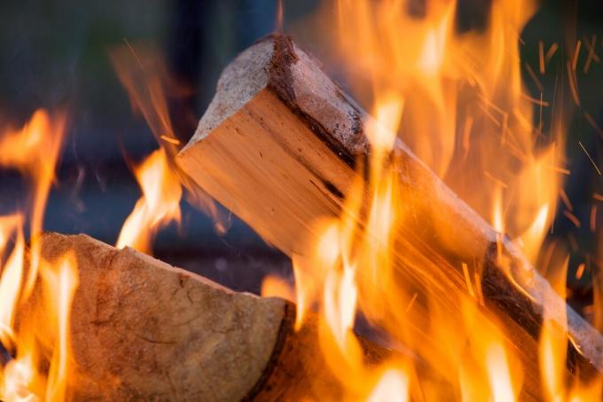 Drewno opałowe płonące w ogniu na kempingu