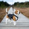 Les six différents types de harnais pour chiens