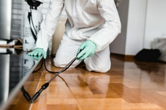 Kammerjäger in Arbeitskleidung sprüht Pestizide mit Sprühgerät.