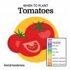 Calendario de plantación: cuándo plantar estas verduras populares