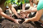 Čo by ste mali vedieť na založenie komunitnej záhrady