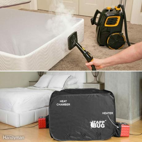 uporaba toplote za ubijanje posteljnih hroščev