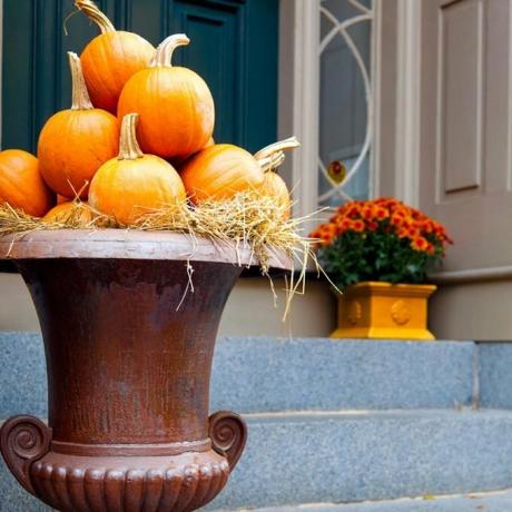 dfh17sep016_106467653 veranda urna ültetvény őszi sütőtök edény