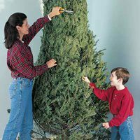 podar el árbol de navidad más