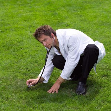 tips perawatan rumput untuk memperbaiki bintik-bintik rumput yang ditunjukkan oleh " dokter" rumput menggunakan stetoskop untuk memantau kesehatan rumput dan tanah