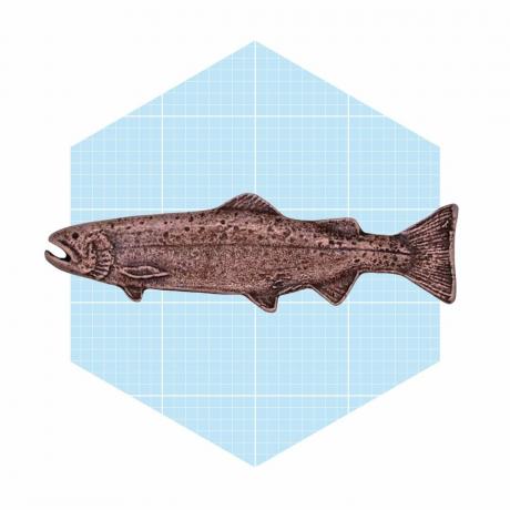 Buck Snort Lodge Fish szekrény fiókos húzók