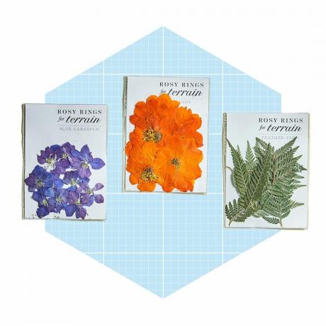 Rosy Rings Pressed Botanicals Packet