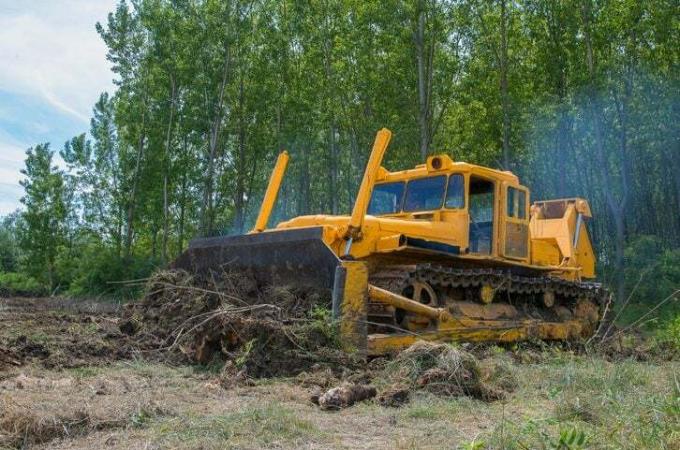 Bulldozer Erradicando el bosque para preparar la plantación de árboles