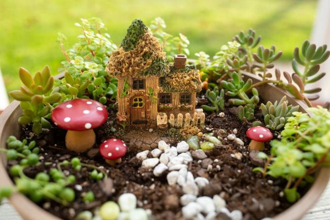 Miniatyr Fairy Garden - Utomhus
