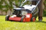 Her er hvorfor du ikke bør klippe din græsplæne hver uge