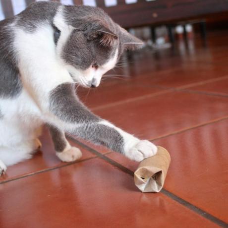 Matpuslespill for katter DIY katteleker