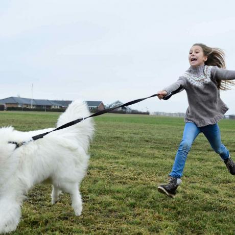 Menina brincando com um cachorro na coleira